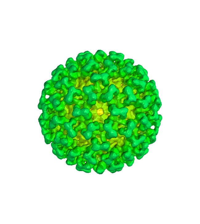 Coronavirus Medical Disease PNG
