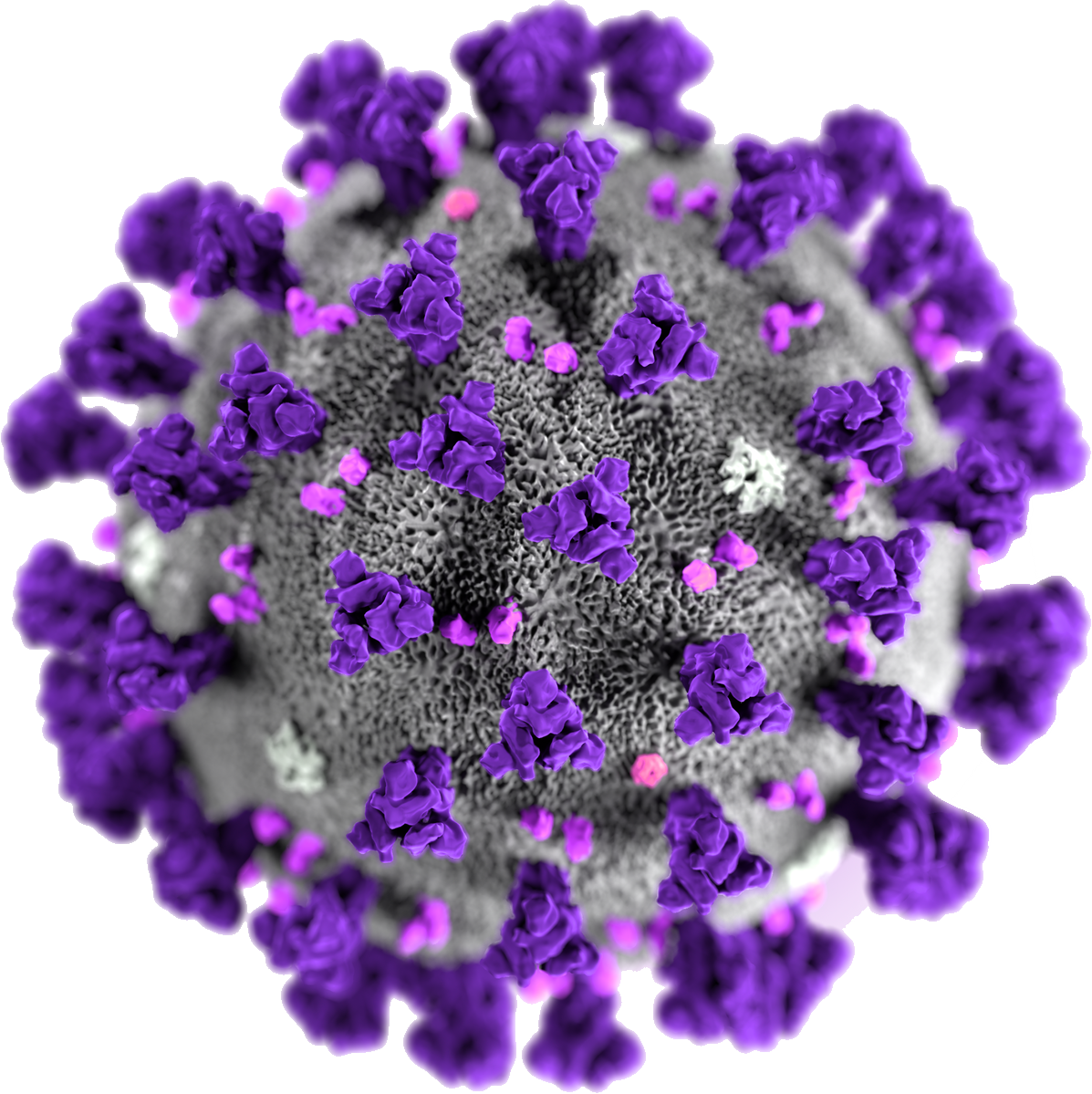 Disease Coronavirus Medical PNG
