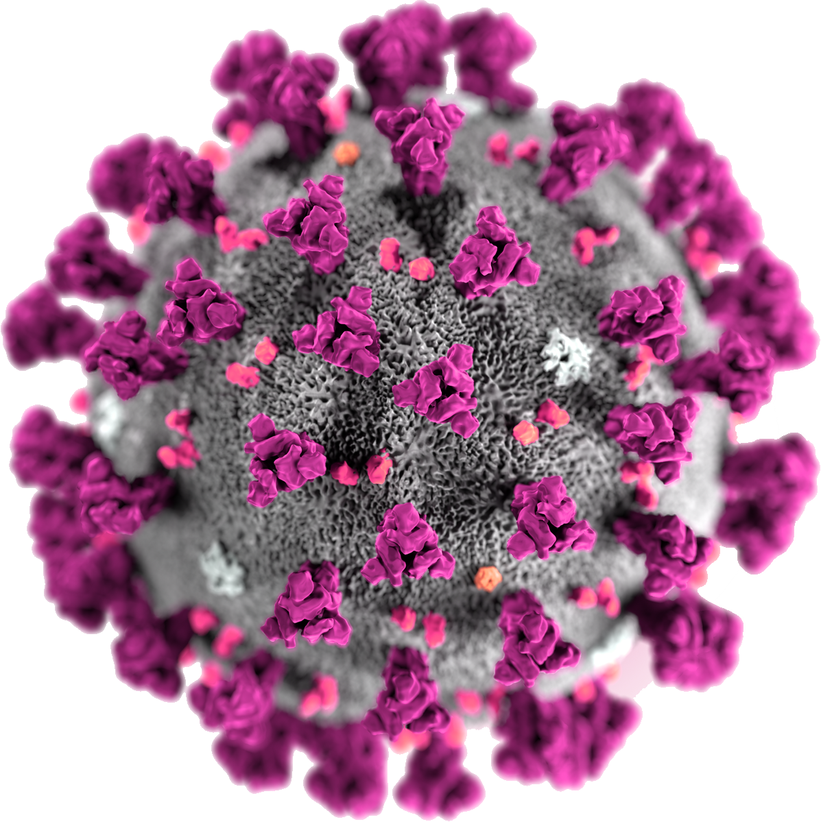 Covid-19 Virus Medical PNG