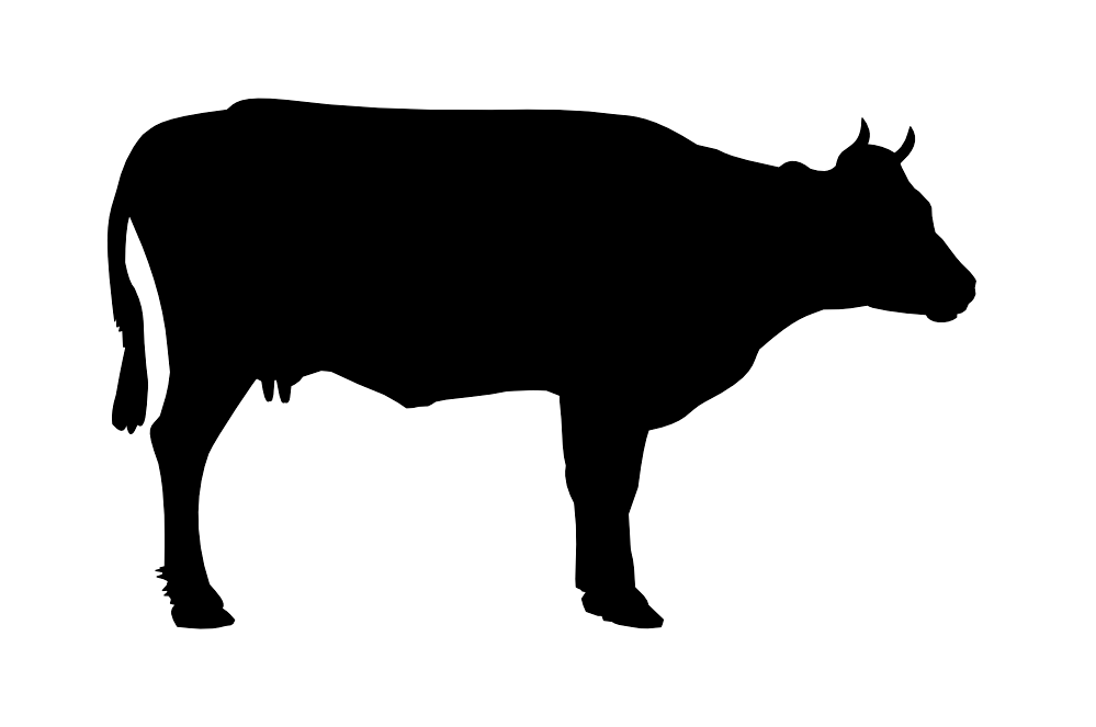 Bull Black Siluete Hippo Bovine PNG