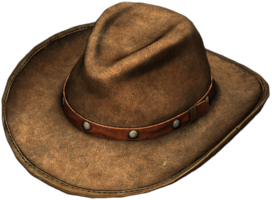 Cowboy Fedora Helmet Umbrella Topper PNG