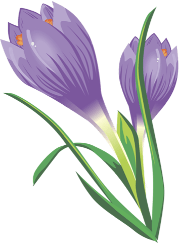 Twilight Crocus Animal Baby Amazing PNG