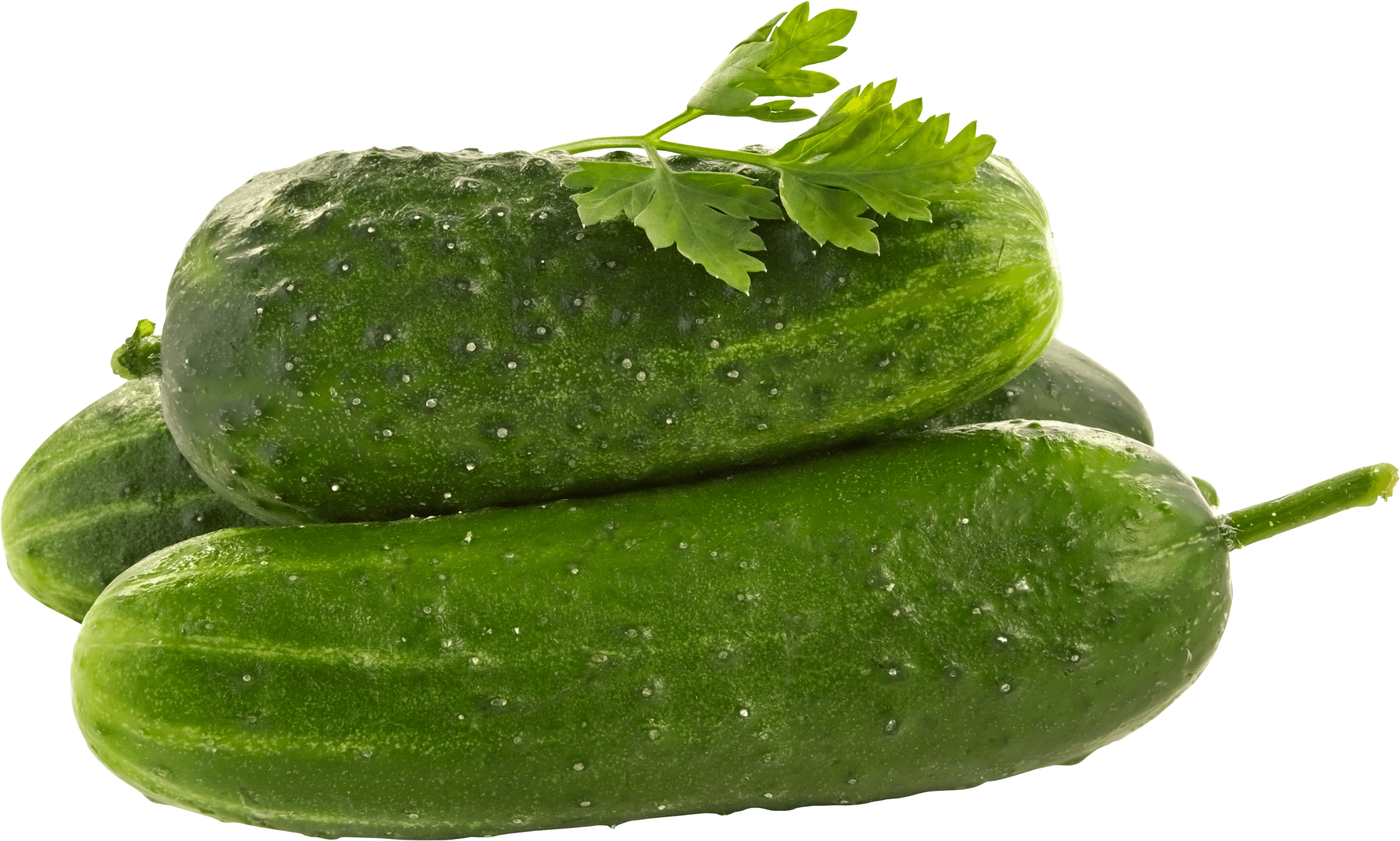 Green Fruits Lettuce Salad Scallion PNG