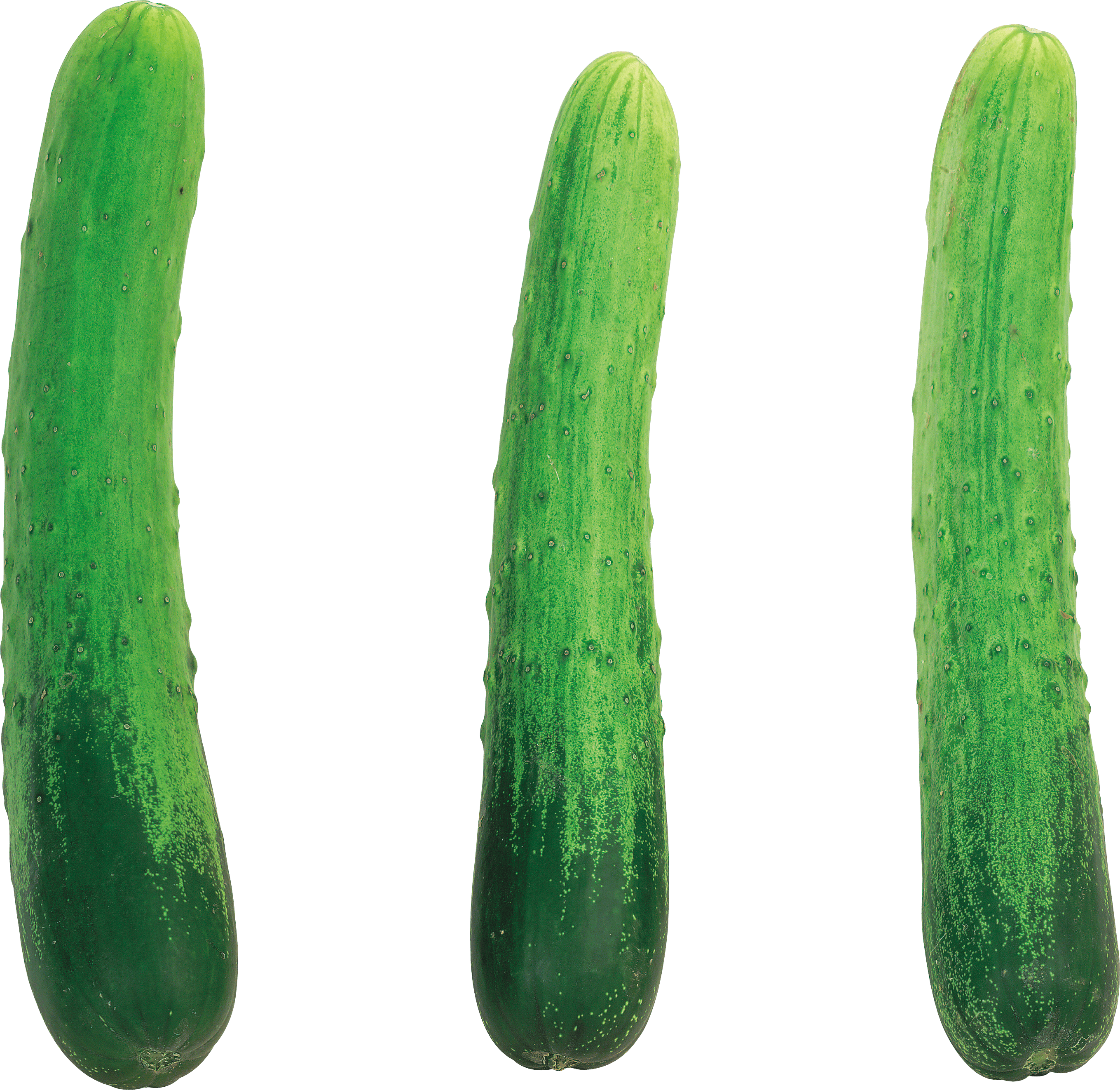 Cucumbers Broccoli Cabbage Tomato Girls PNG