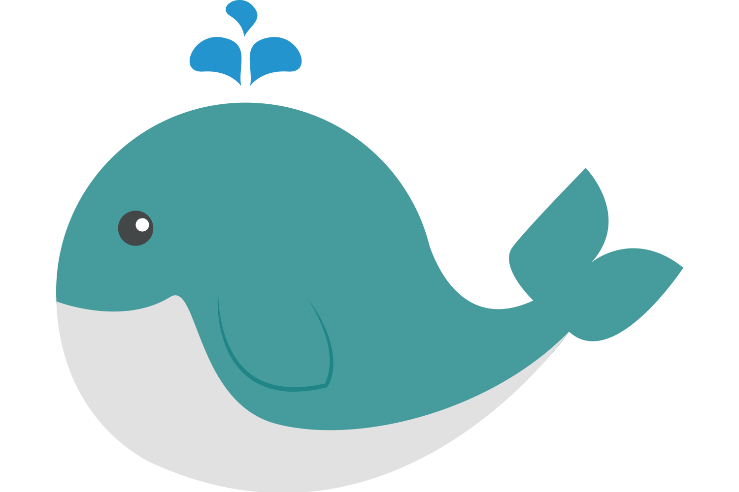 Cat Cunning Whale Animals Monkey PNG