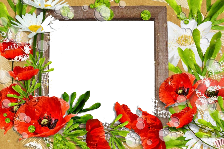 Frame Frontier Limit Ceiling Flower PNG