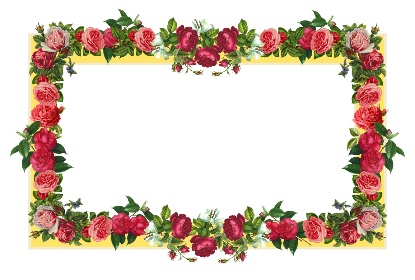 Miscellaneous Poppy Skirt Territories Frame PNG