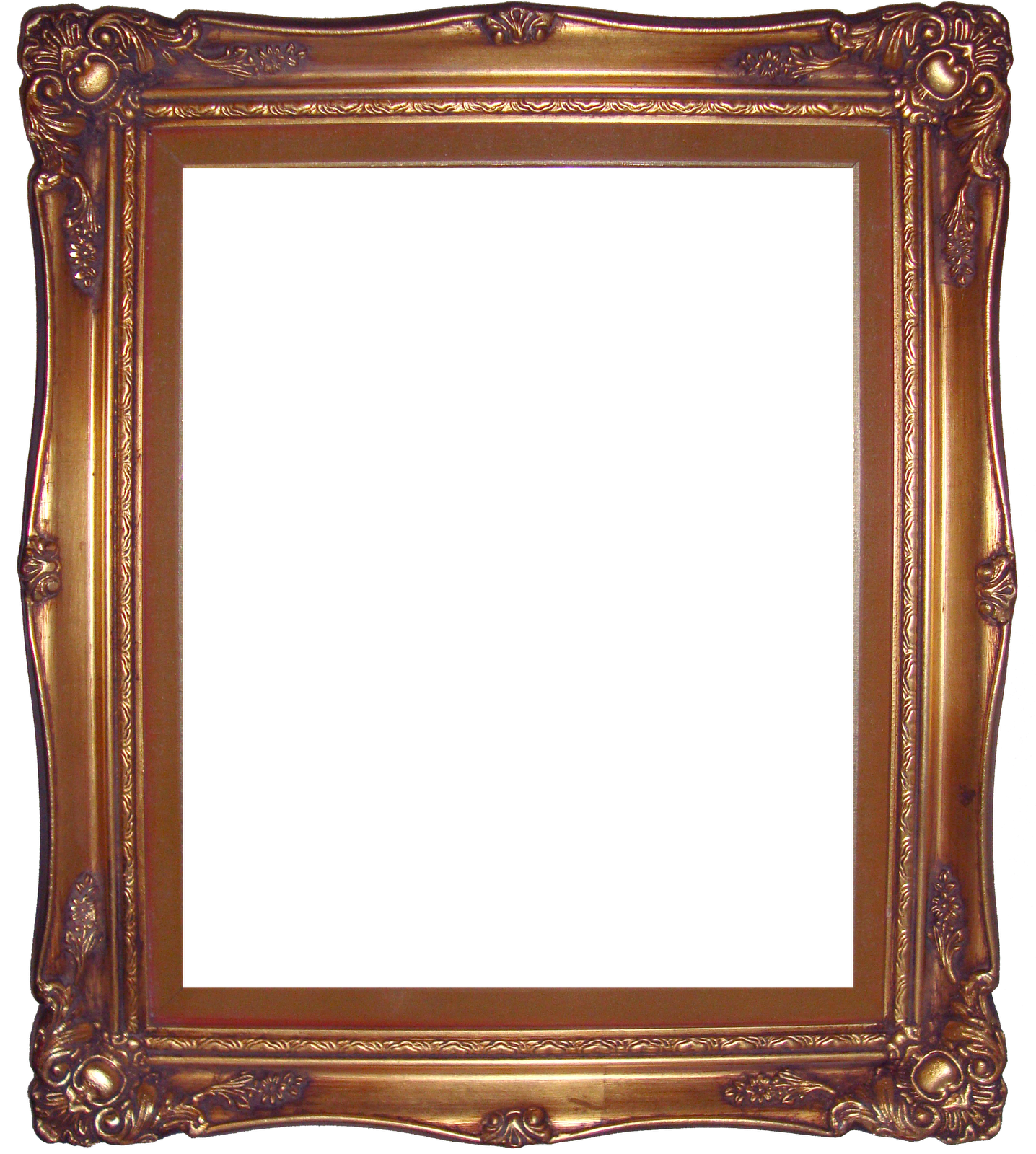 Boarder Boundary Habitat Miscellaneous Frame PNG