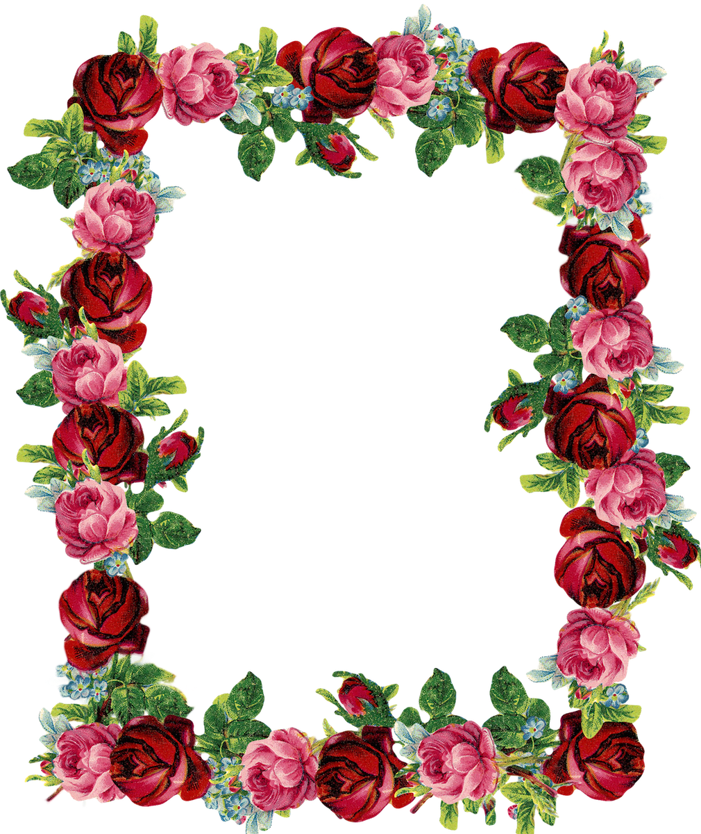 Barrier Frame Southern Wedding Flowers PNG