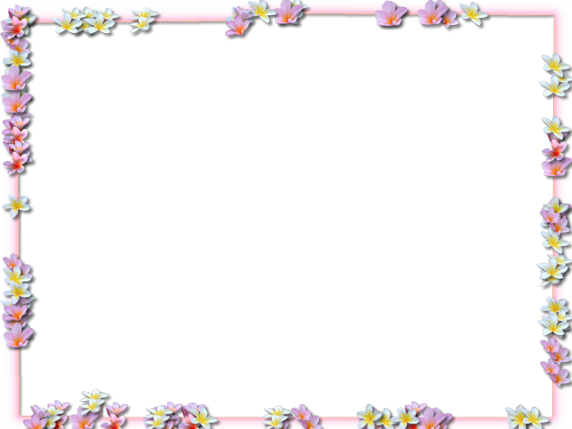 High Border Flowers Edge Miscellaneous PNG