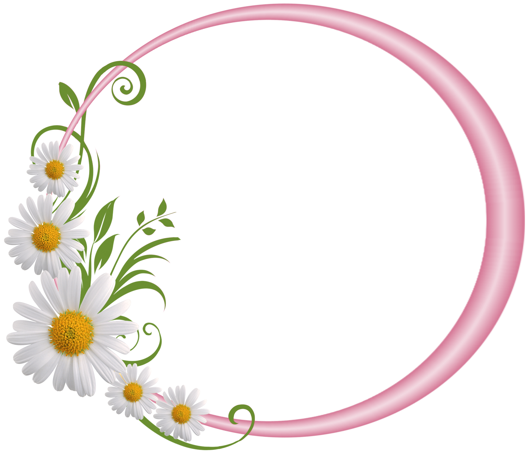 Miscellaneous Floral Threshold Border Infiltrators PNG
