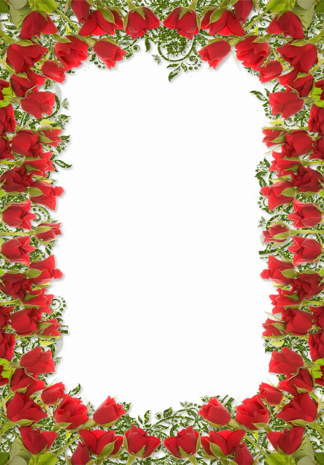 Border Line Floral Miscellaneous Decorating PNG