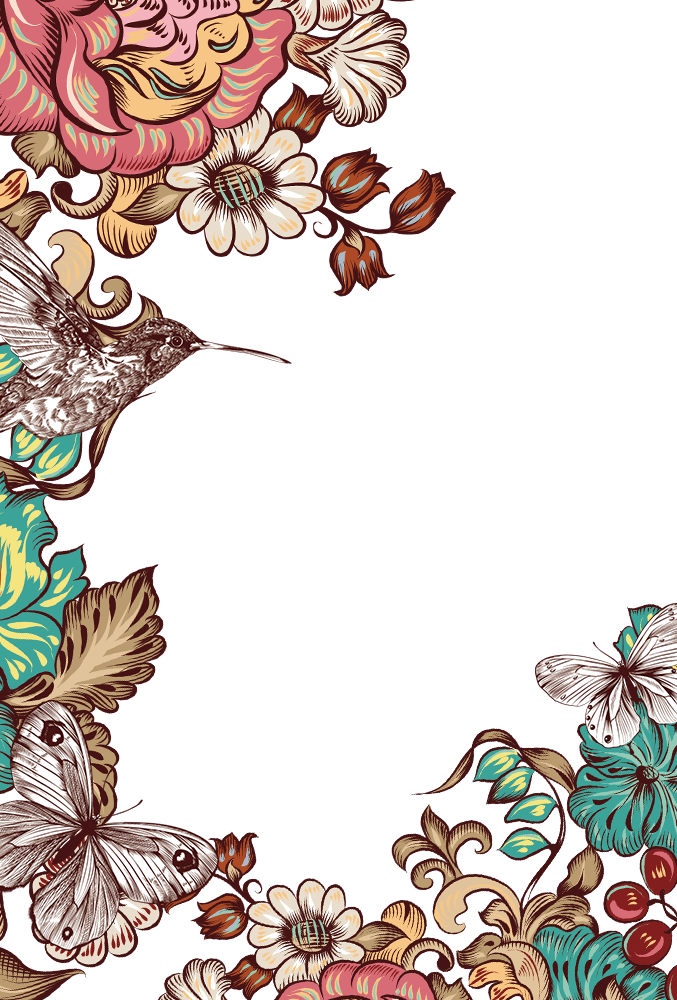 Northern Miscellaneous Butterfly Frame Customs PNG