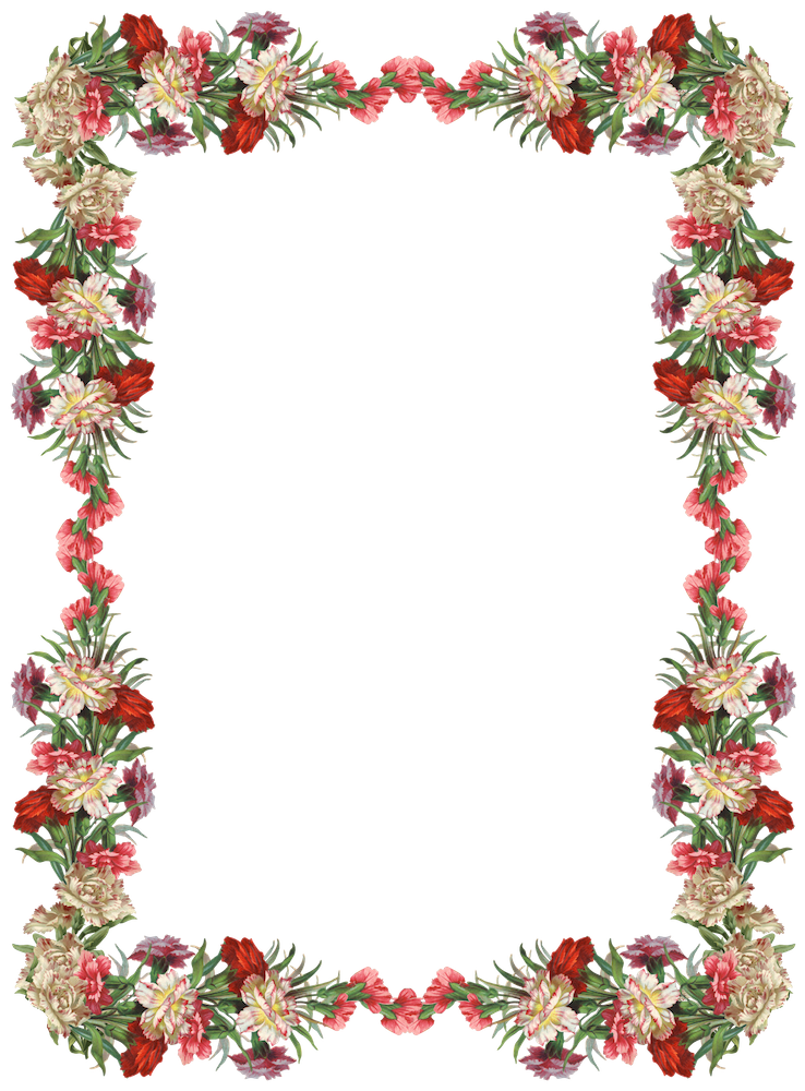 Colorful Frame Border Flower Barrier PNG