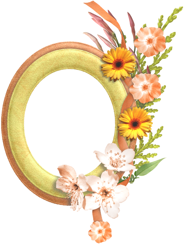 Nonfunctional Cosmetic Oval Border Frame PNG
