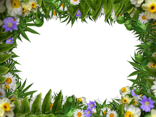 Miscellaneous Flower Boundaries Limit Square PNG