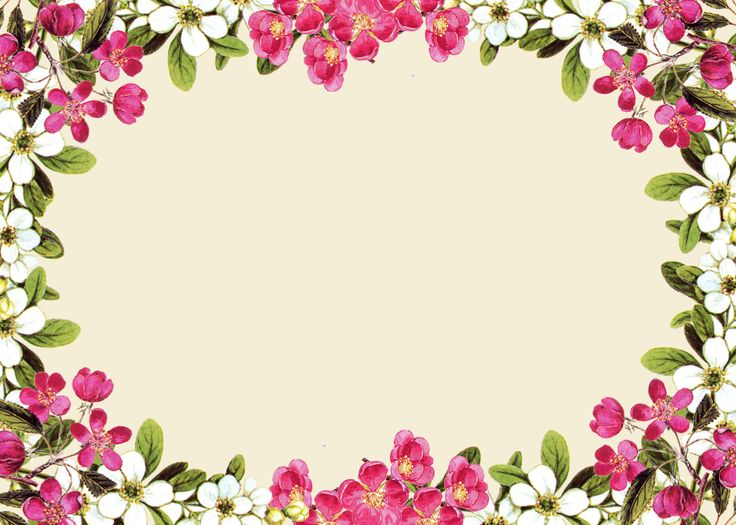 Boundary Finishing Frontiers Flower Pink PNG