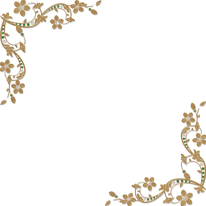 Customs Miscellaneously Stuff Boarder Frame PNG