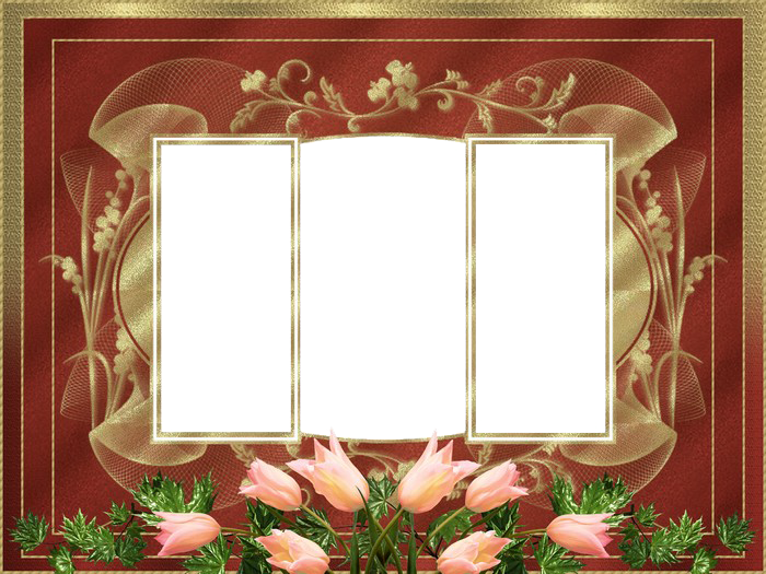 Misc Boundary Mood Boarder Frame PNG