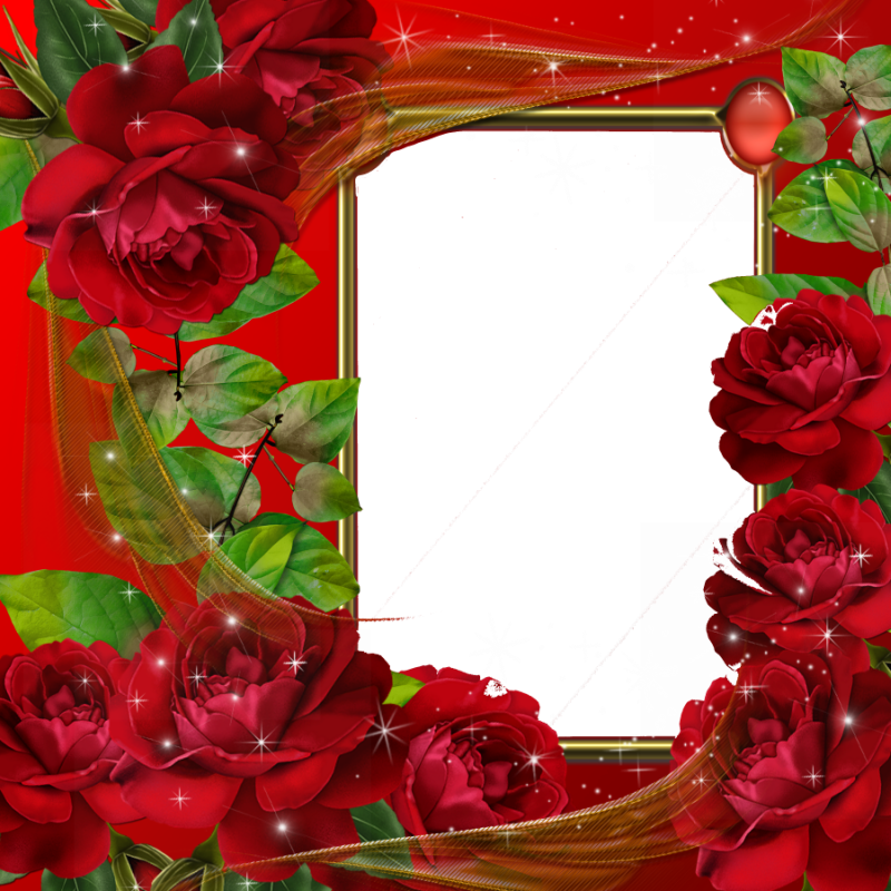 Flower Territories Demarcation Gold Red PNG