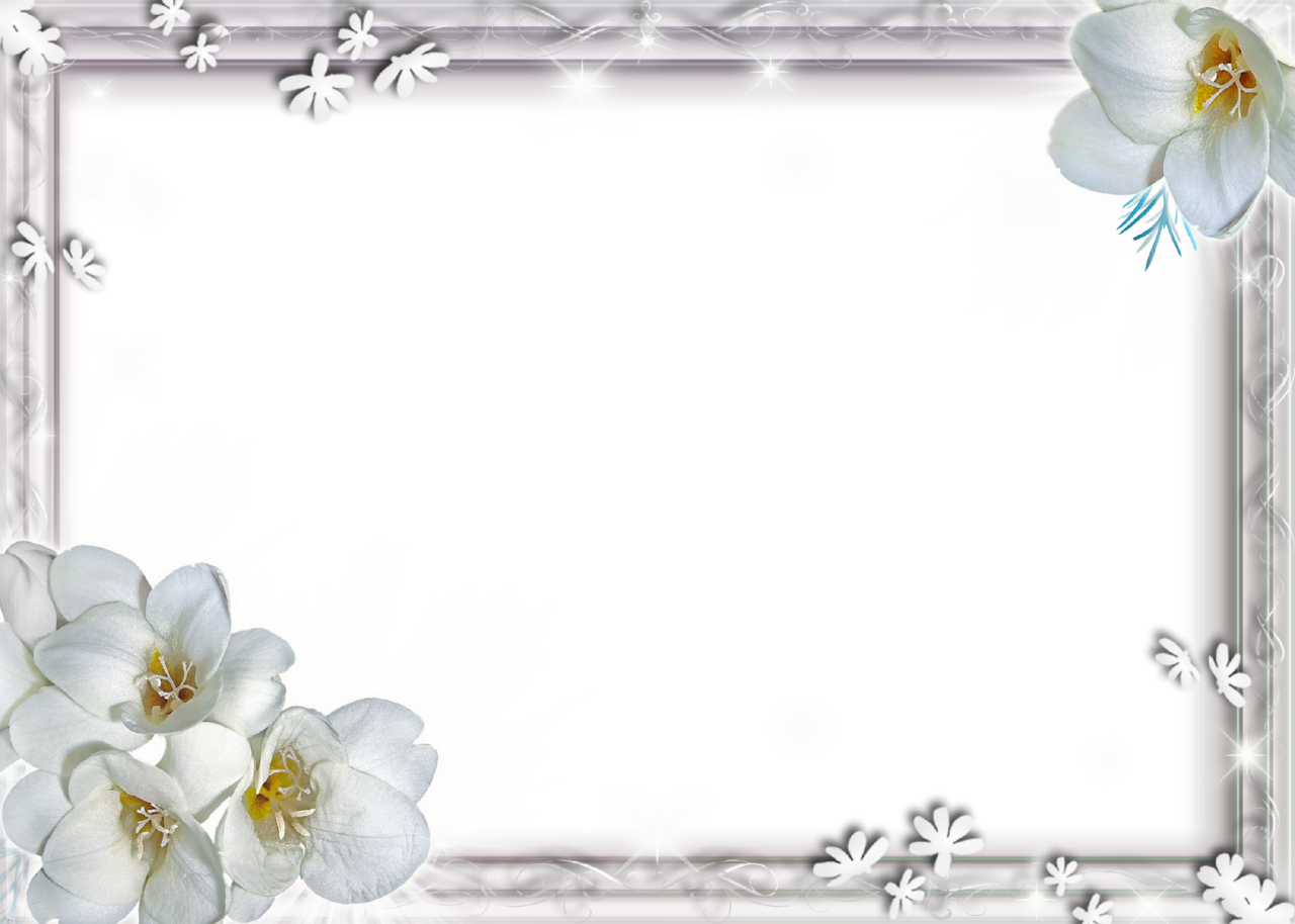 Case White Abut Stuff Side PNG