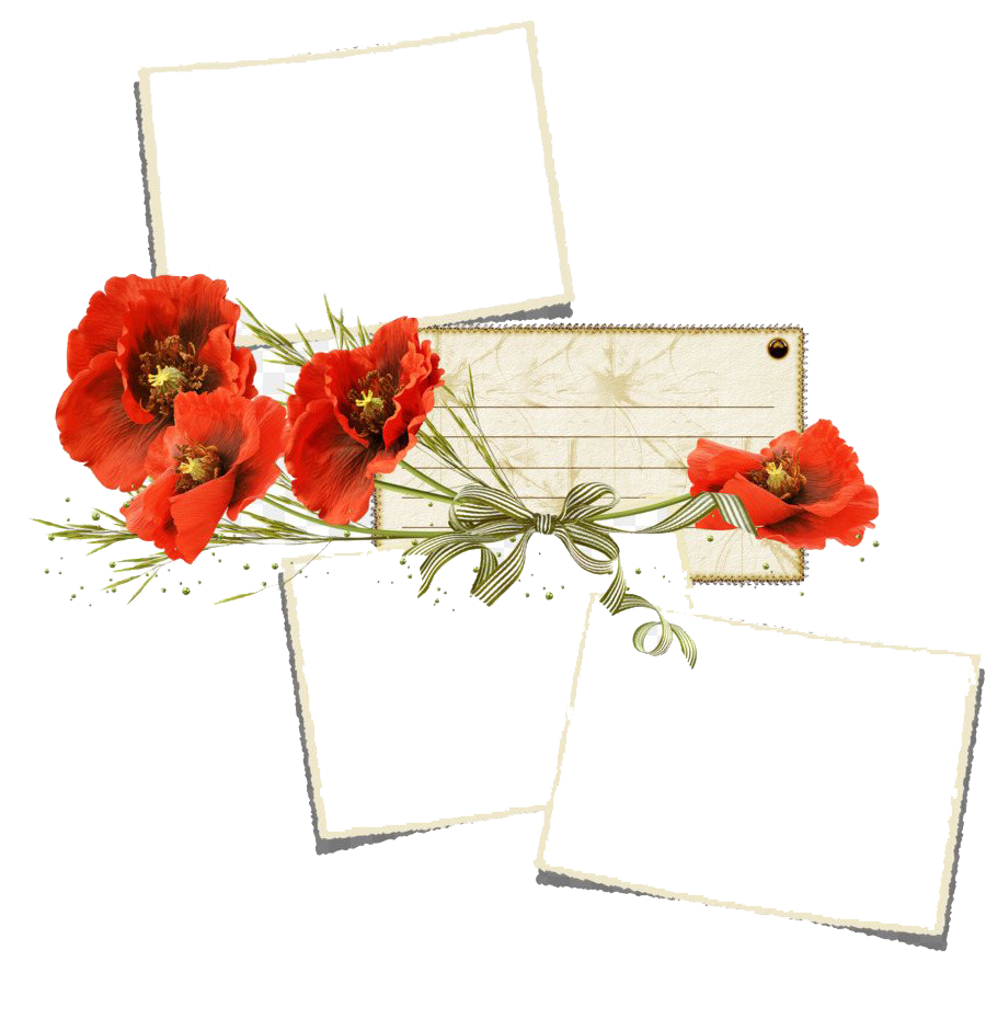 Crossings Poppy Ceiling Miscellaneous Distinction PNG