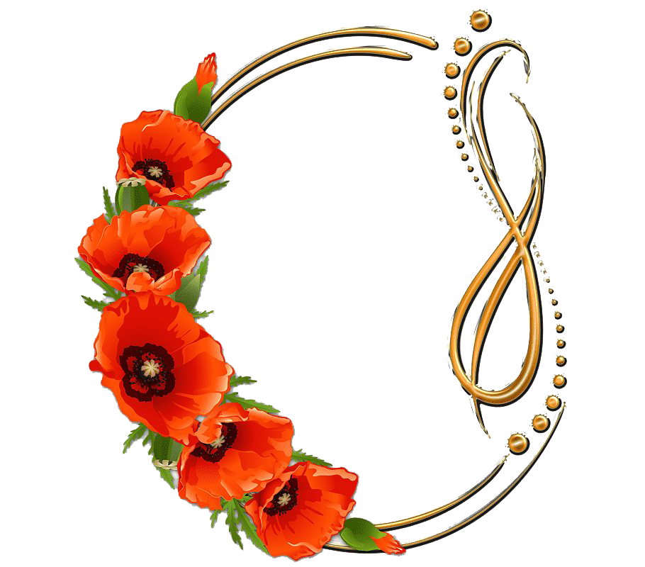 Miscellaneous Poppy Decoration Waterway Frame PNG