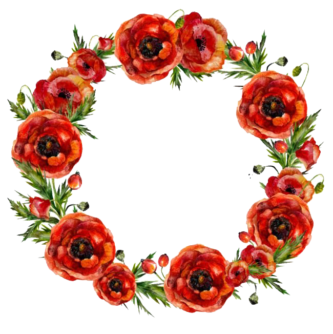 Round Frame Poppy Immigration Barrier PNG