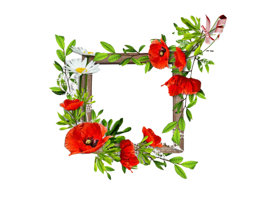 Habitat Side Flower Demarcation Gate PNG