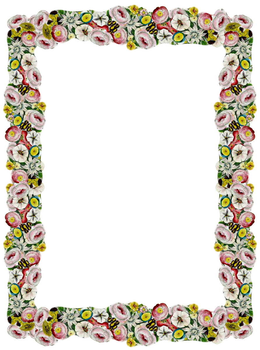 Decoration Border Frontiers Girly Borderline PNG
