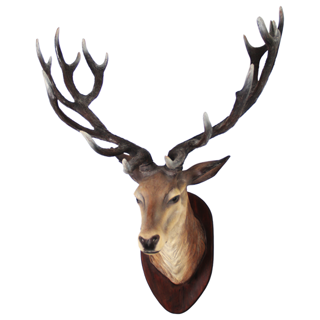 Deer Fat Head Elk Family PNG