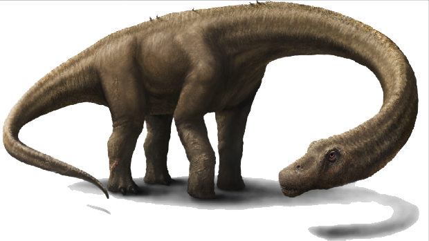 Dinosaur Adventure Fossil Galaxy Universe PNG