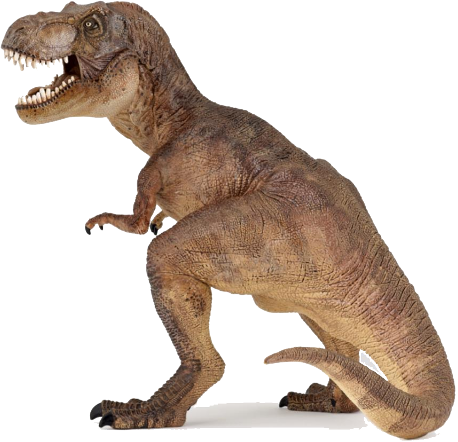 Summer Brontosaurus Hominid Dinosaur Universe PNG