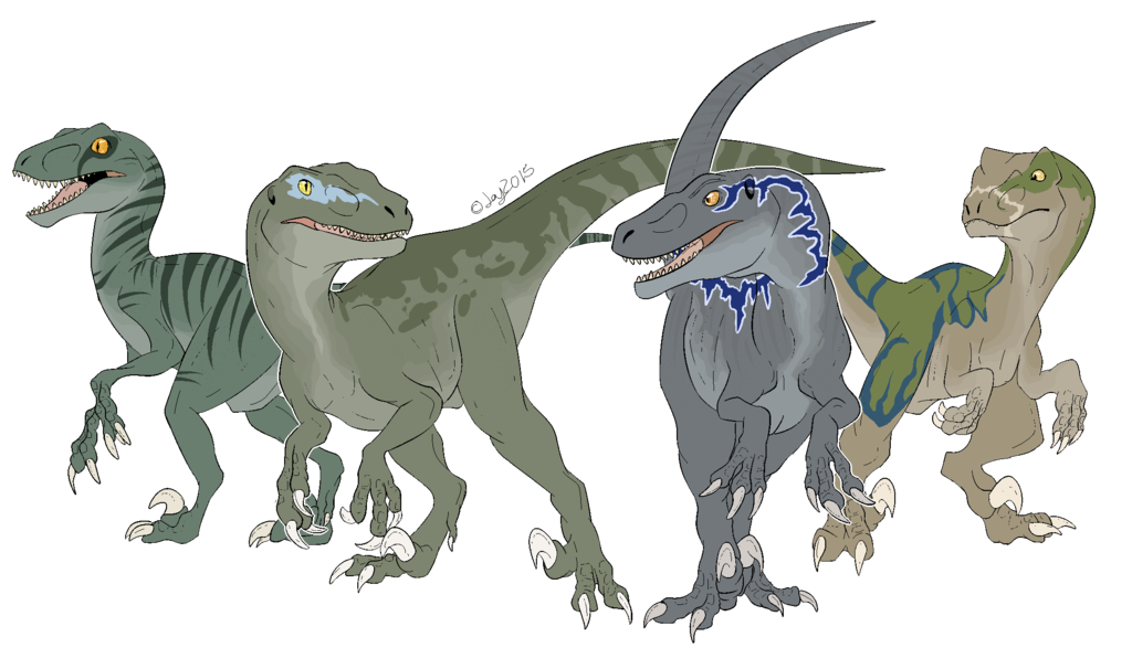 Art Velociraptor Jurassic Drawing Fossil PNG