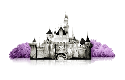 Vacation Disneyland PNG