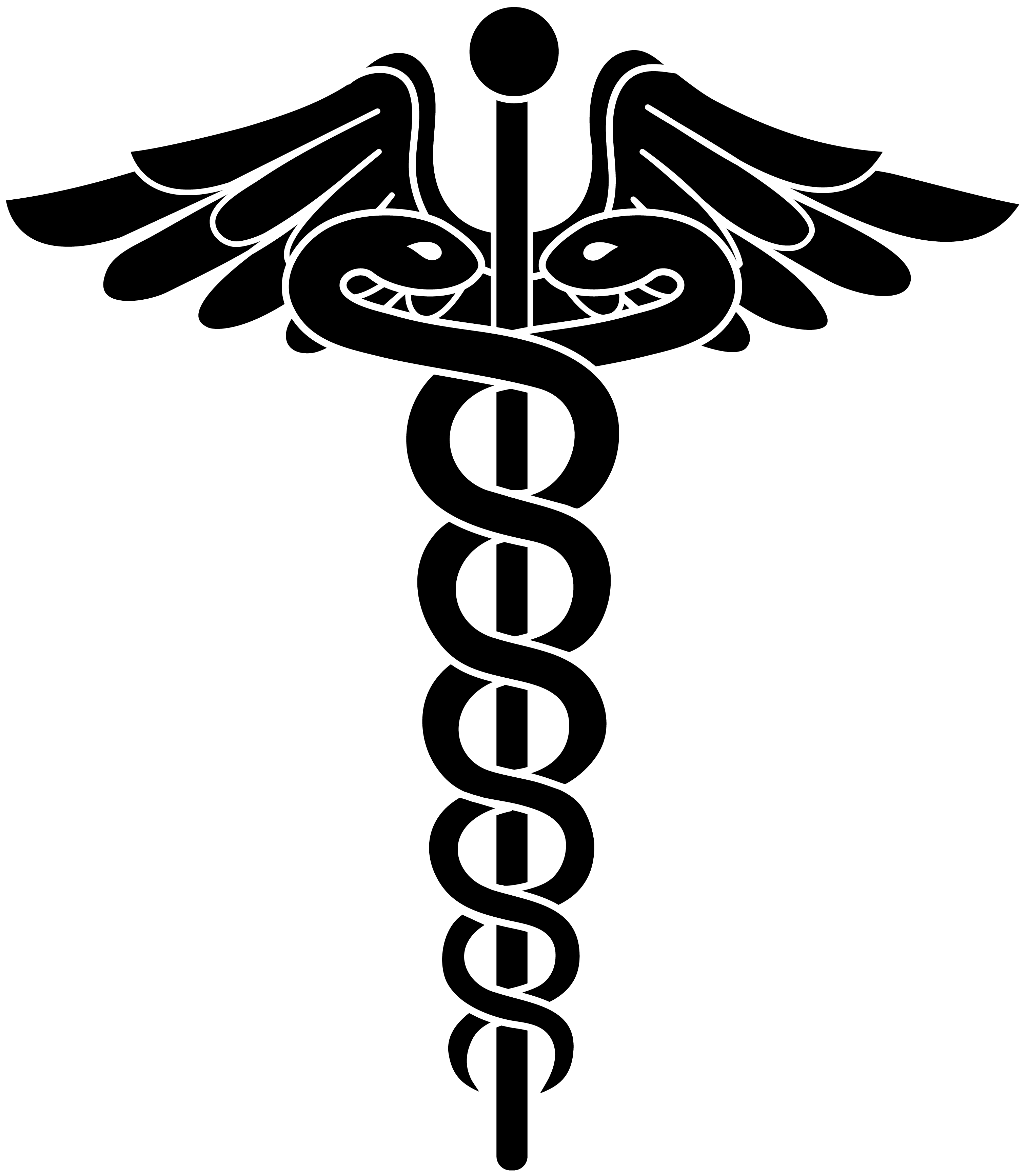 Moment Epitome Items Symbols Caduceus PNG