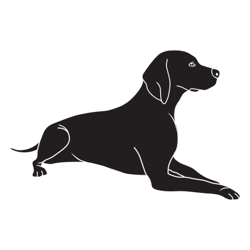 Dog Jackal Animals Track Pets PNG