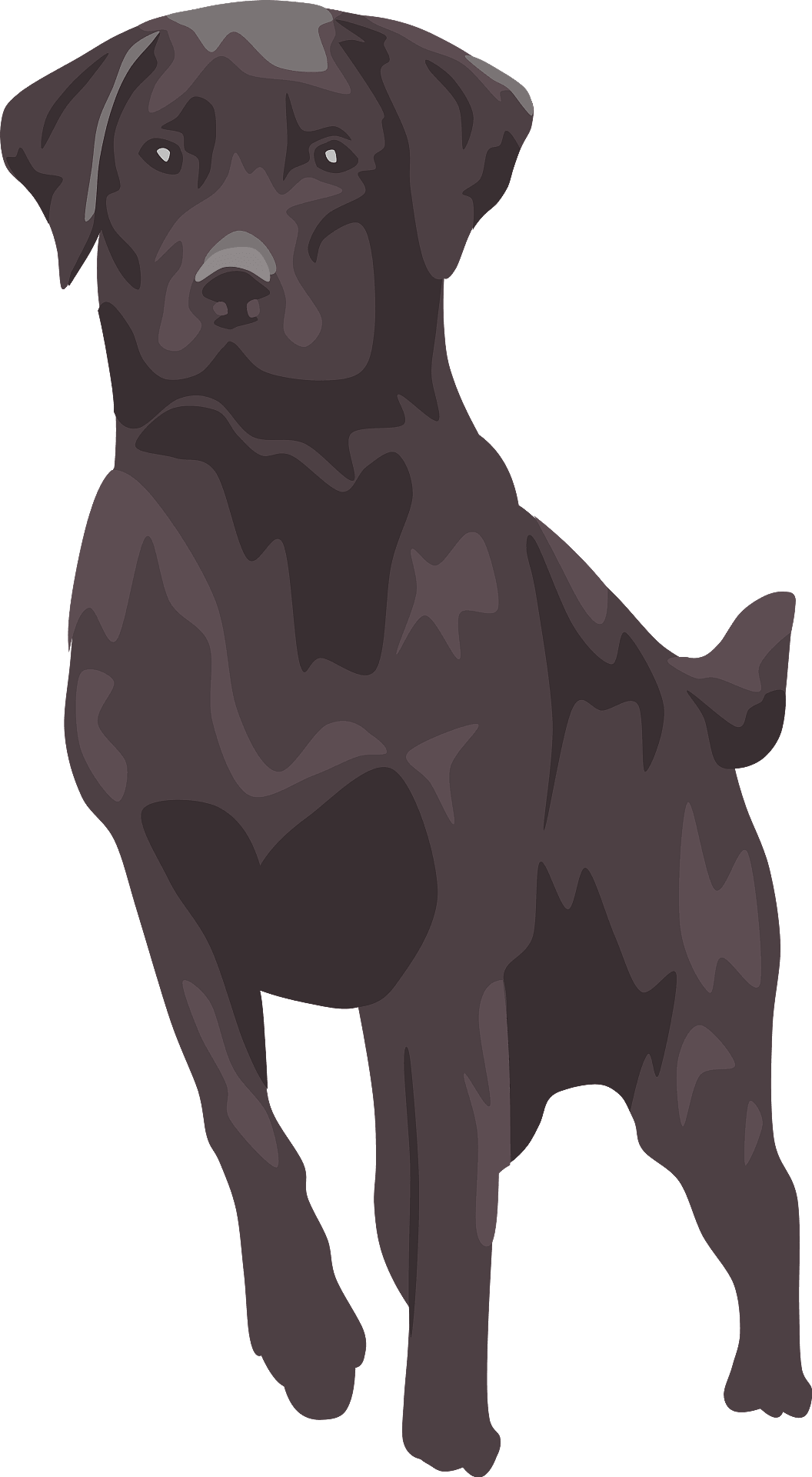 Cane Mate Labrador Scoundrel Fridge PNG