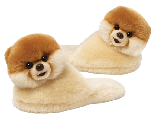Heel Poodle Reptile Puppy Life PNG