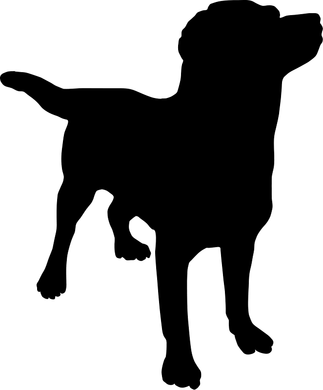 Handler Canine Love Dogs Animal PNG