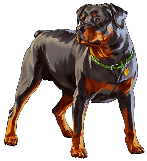 Dog Auto Theft San Andreas PNG