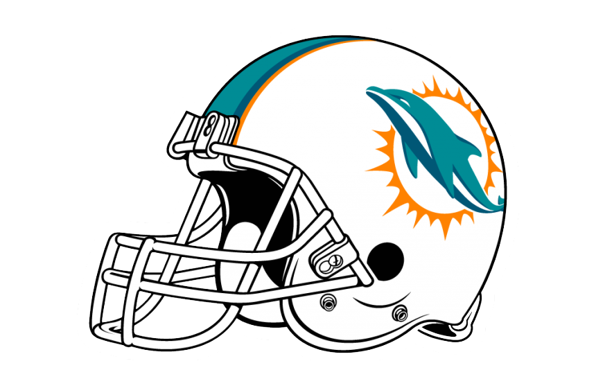 Groupers Marlin Crocodile Miami Dolphins PNG