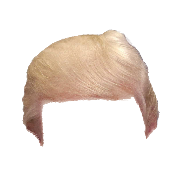 Wig Hair Snout America Crimp PNG