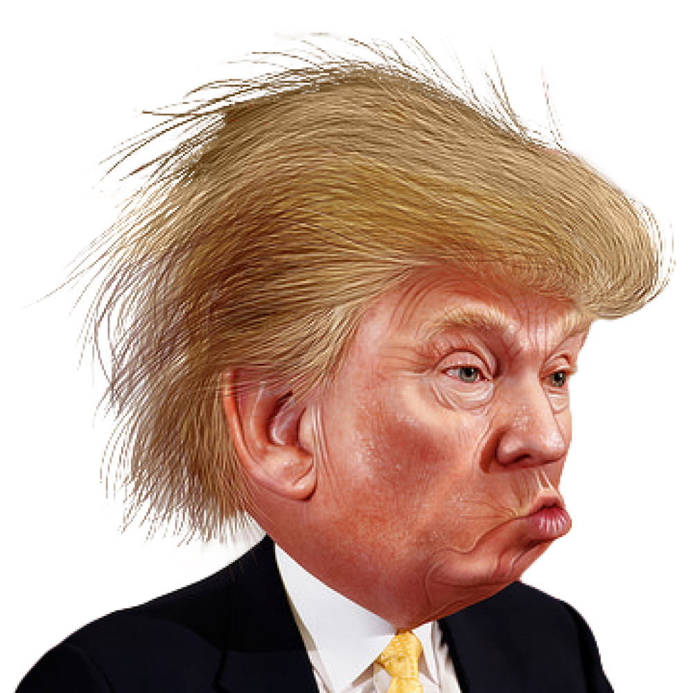 Face Hair Color Nose Donald PNG