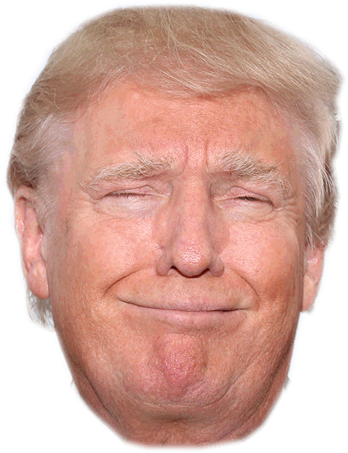 Party Trump Ear Tang Face PNG