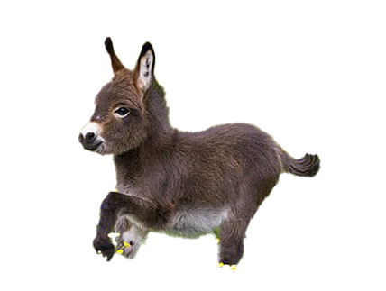 Donkey High Shepherds Phone Goat PNG