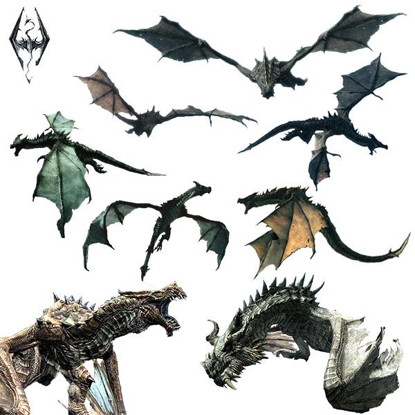 Dragon Faerie Universe Fantasy Ocean PNG