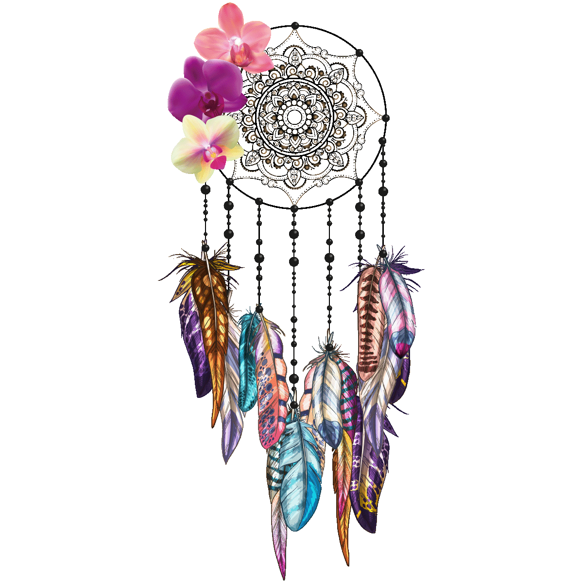 Dreamcatcher Drawing Wall Orchids Purple PNG