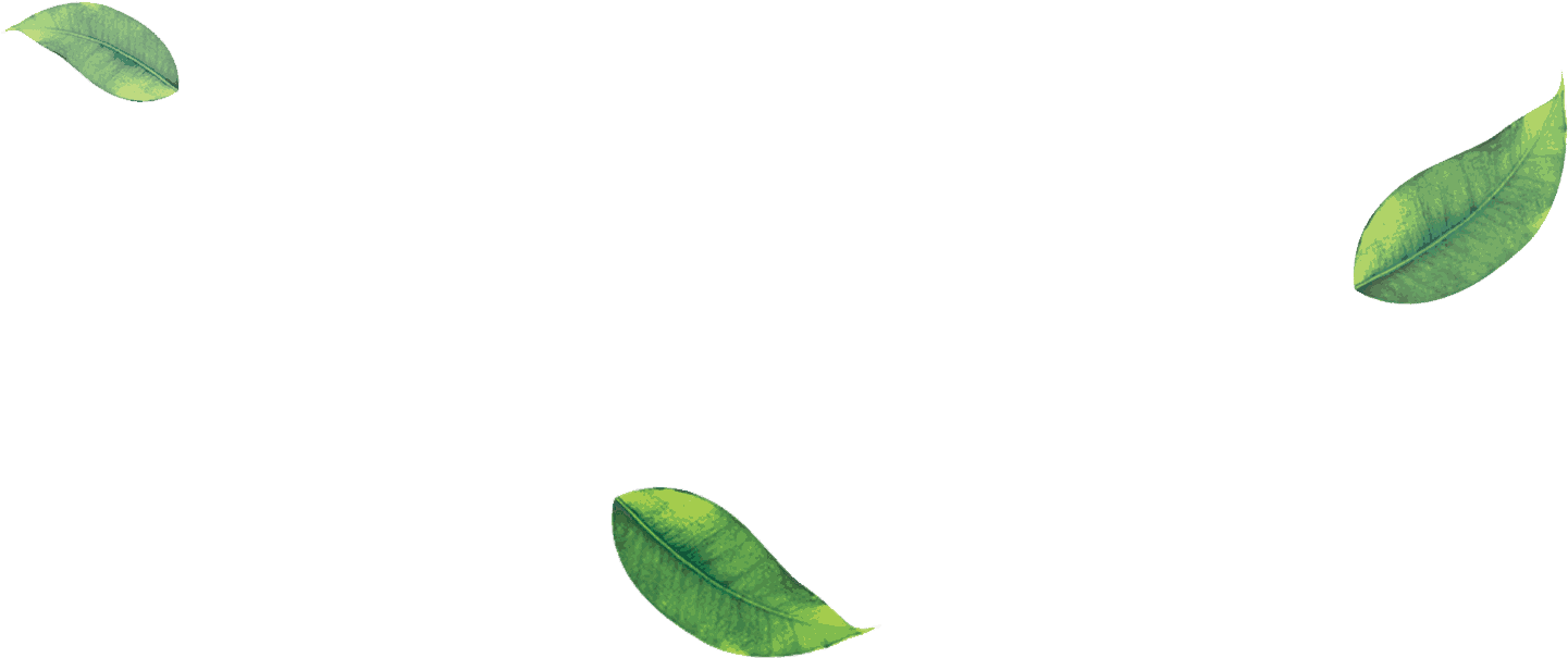 Thirsty Green Chug Leaves Quickie PNG