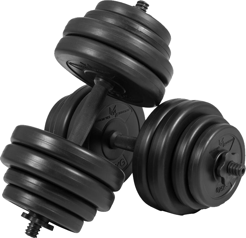 Weights Backrest Hantel Fitness Barre PNG